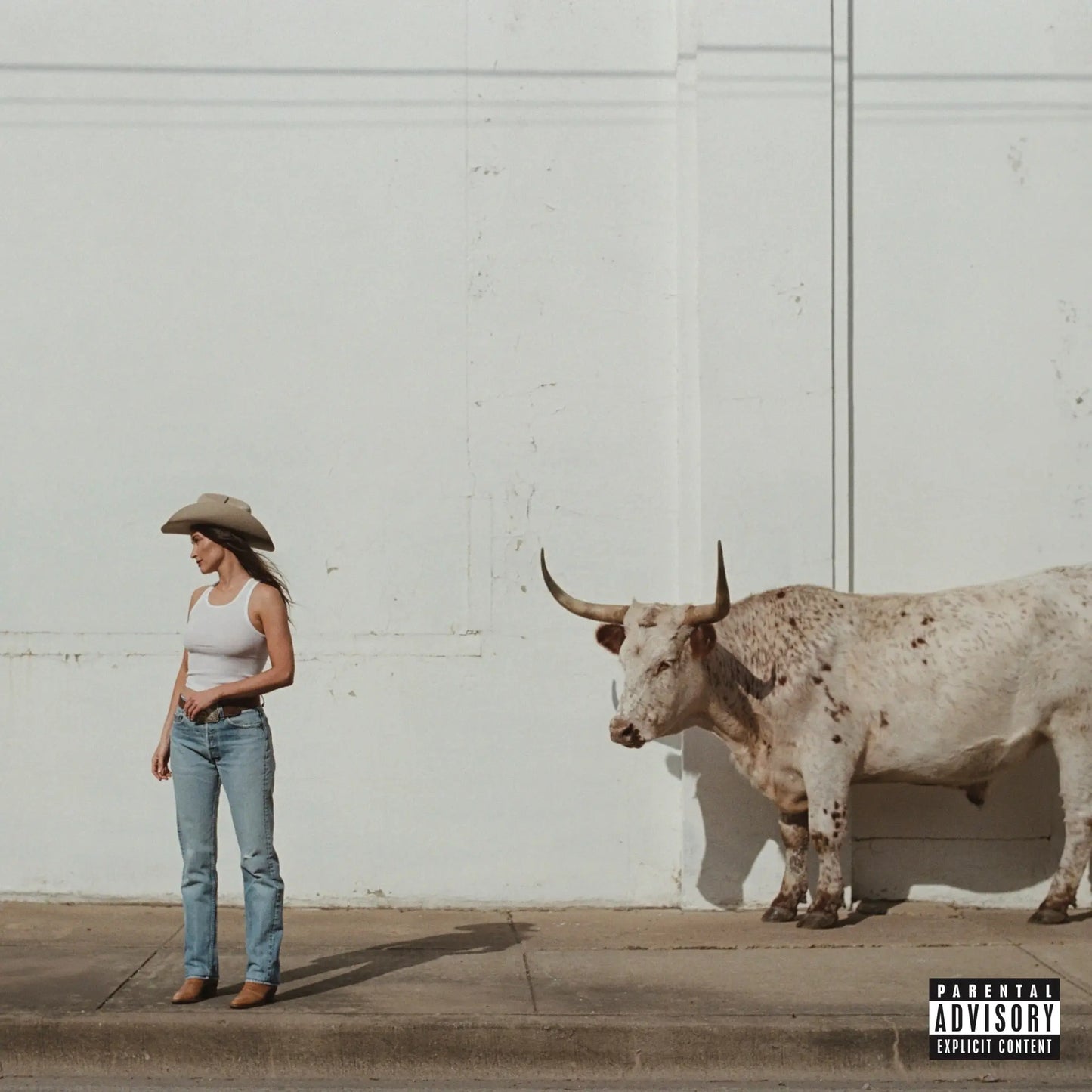 KACEY MUSGRAVES - Middle Of Nowhere (Vinyle)