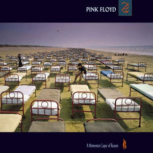 PINK FLOYD - A Momentary Lapse Of Reason (Vinyle)