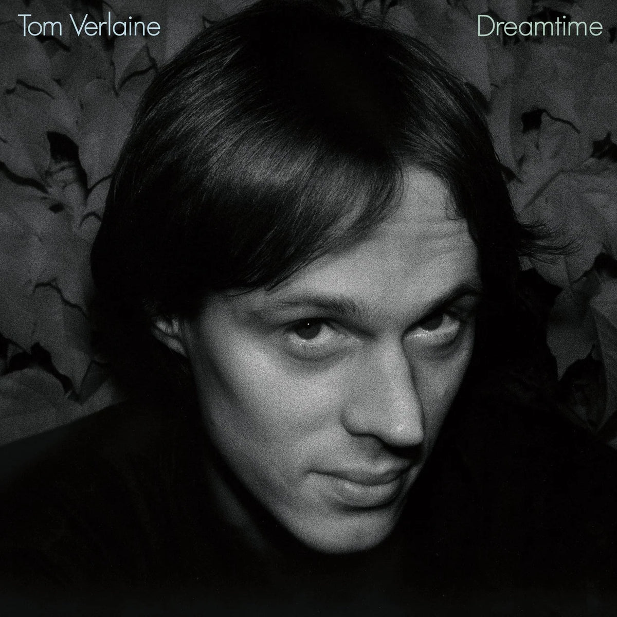TOM VERLAINE - Dreamtime (Vinyle) PRÉCOMMANDE (23 octobre)