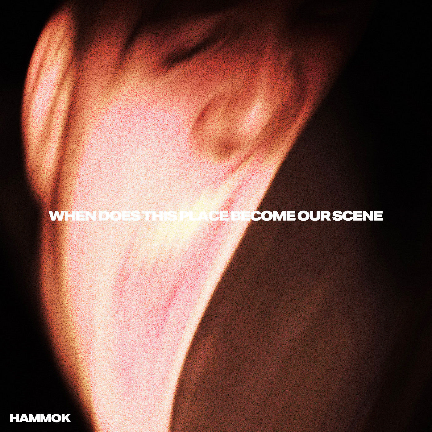 HAMMOK - When Does This Place Become Our Scene (Vinyle) PRÉCOMMANDE