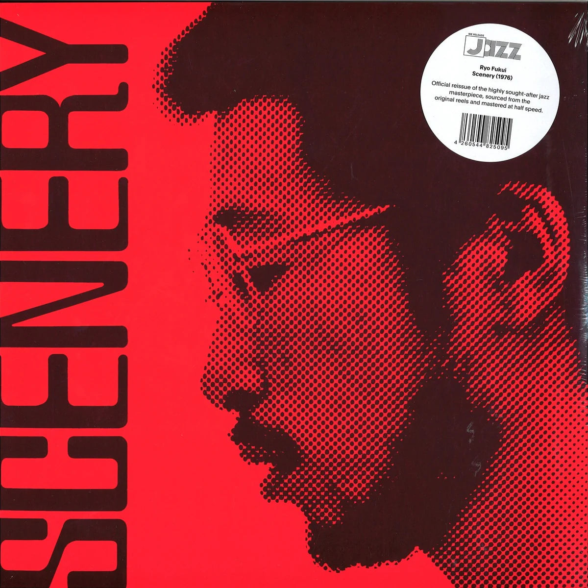 RYO FUKUI - Scenery (Vinyle)