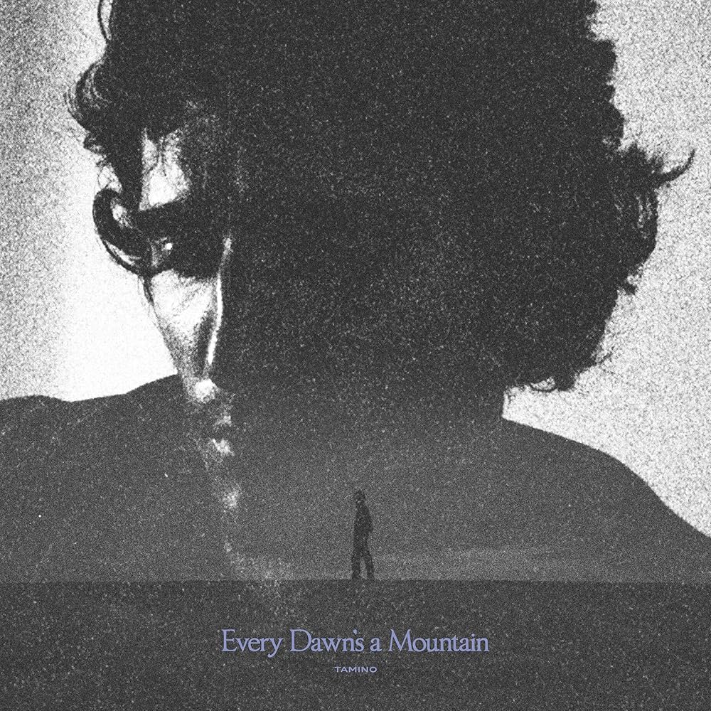 TAMINO - Every Dawn's A Mountain (Vinyle)