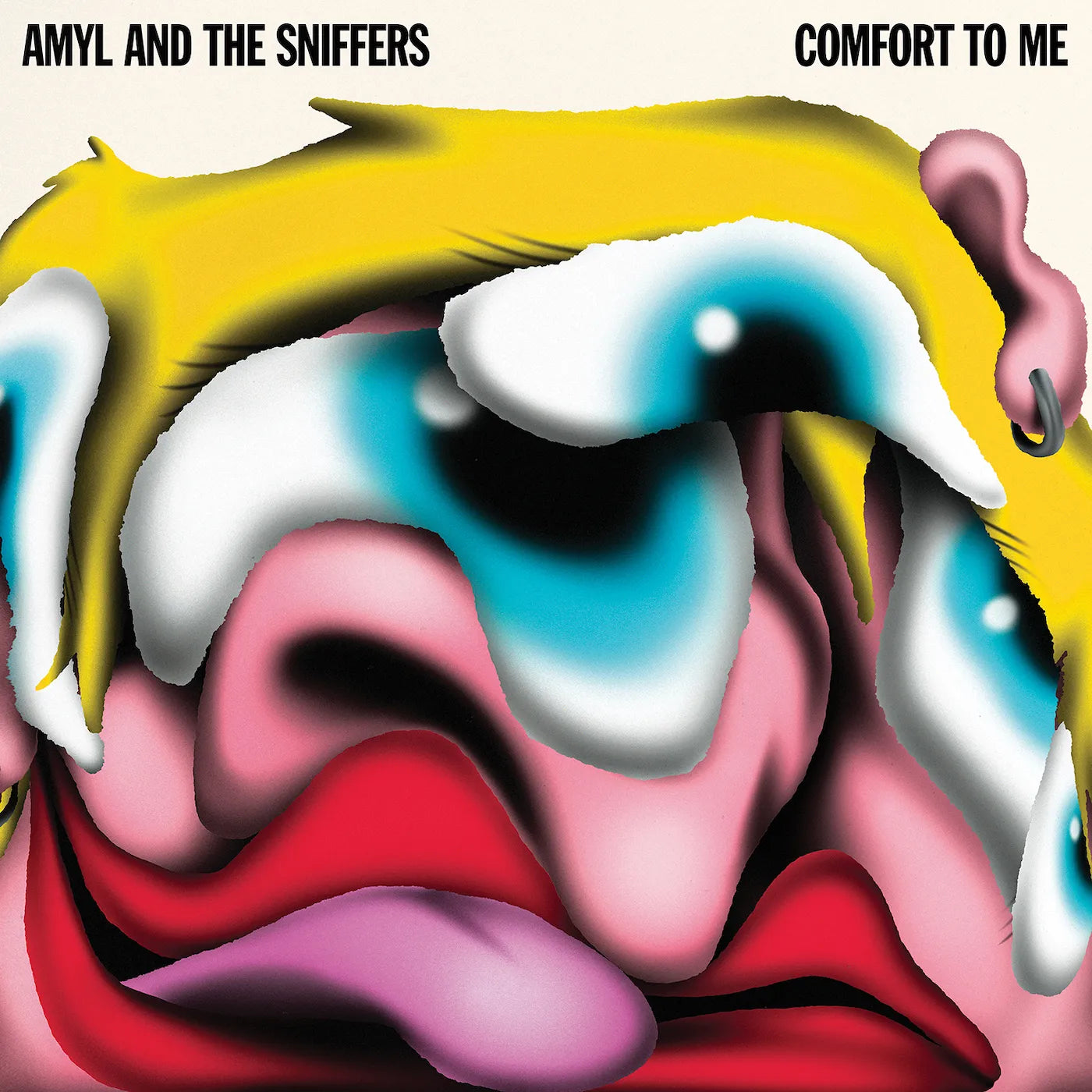AMYL AND THE SNIFFER - Comfort To Me (Vinyle)
