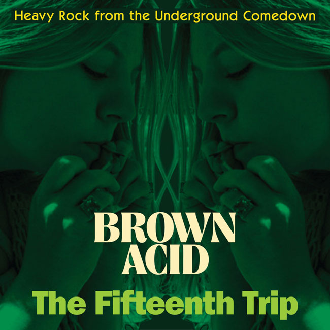 ARTISTES VARIÉS - Brown Acid: The Fifteenth Trip (Heavy Rock From The American Comedown Era) (Vinyle)