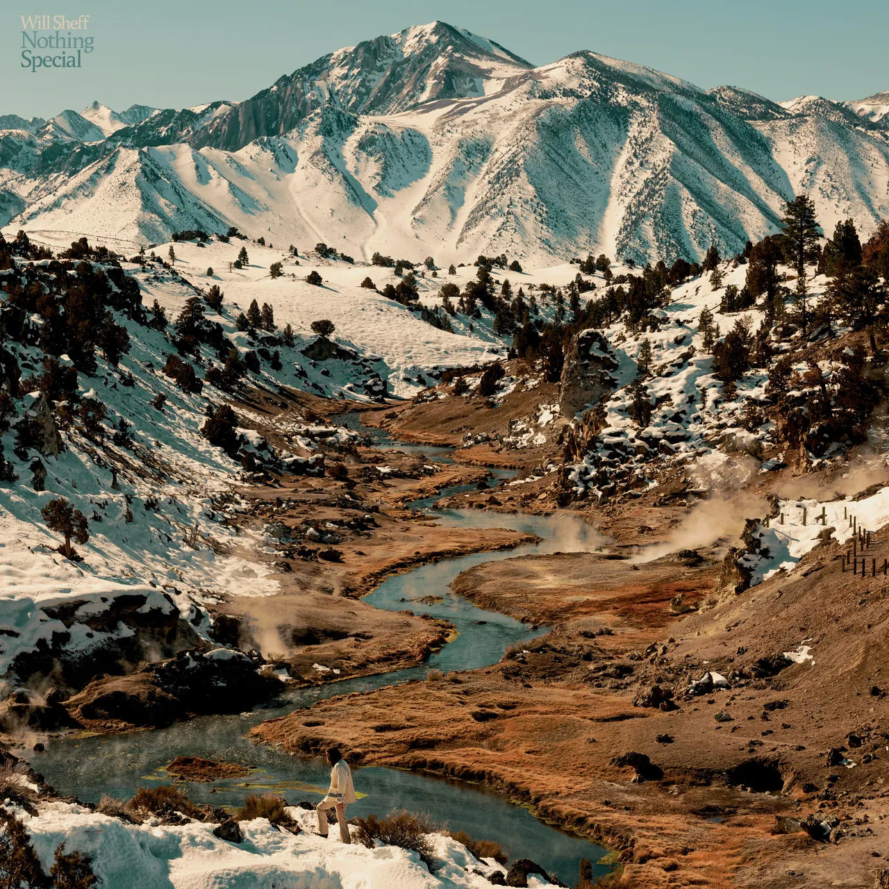 WILL SHEFF - Nothing Special (Vinyle)