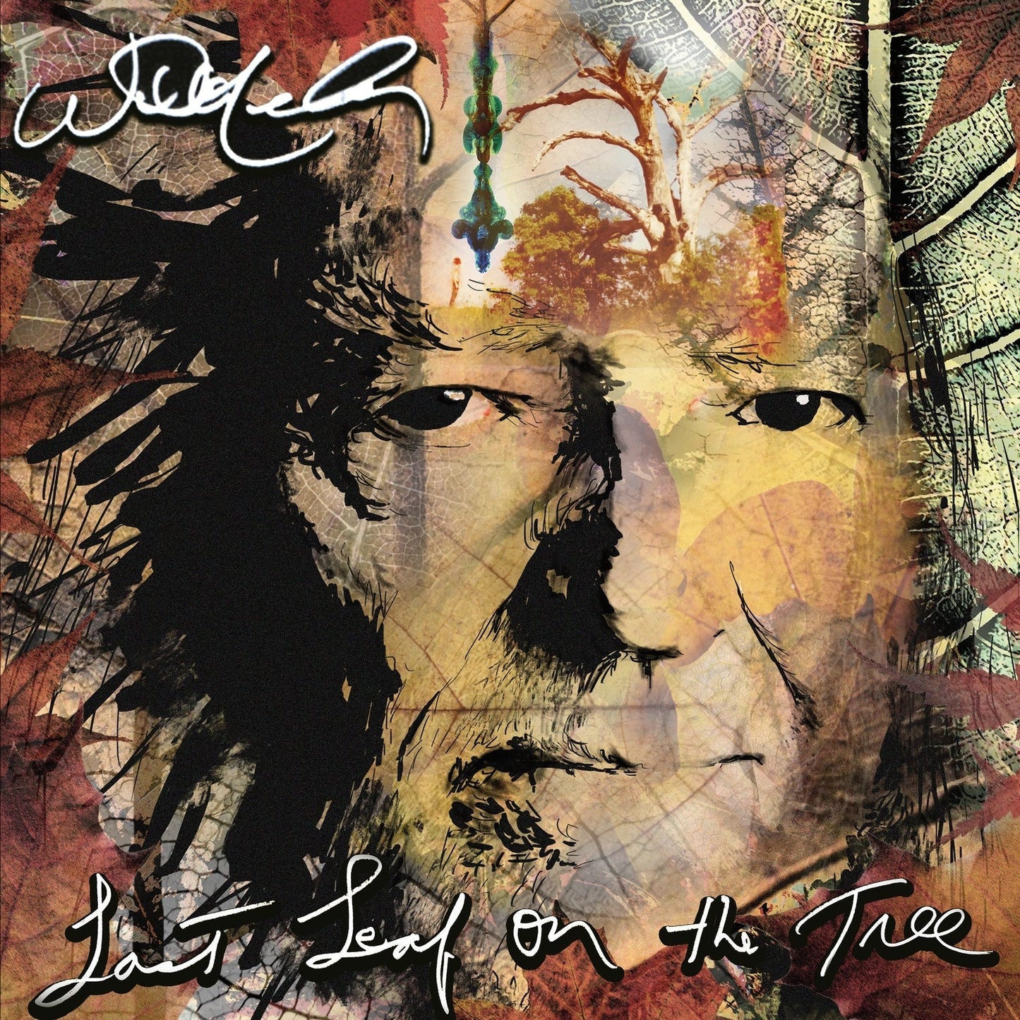 WILLIE NELSON - Last Leaf On The Tree (Vinyle)