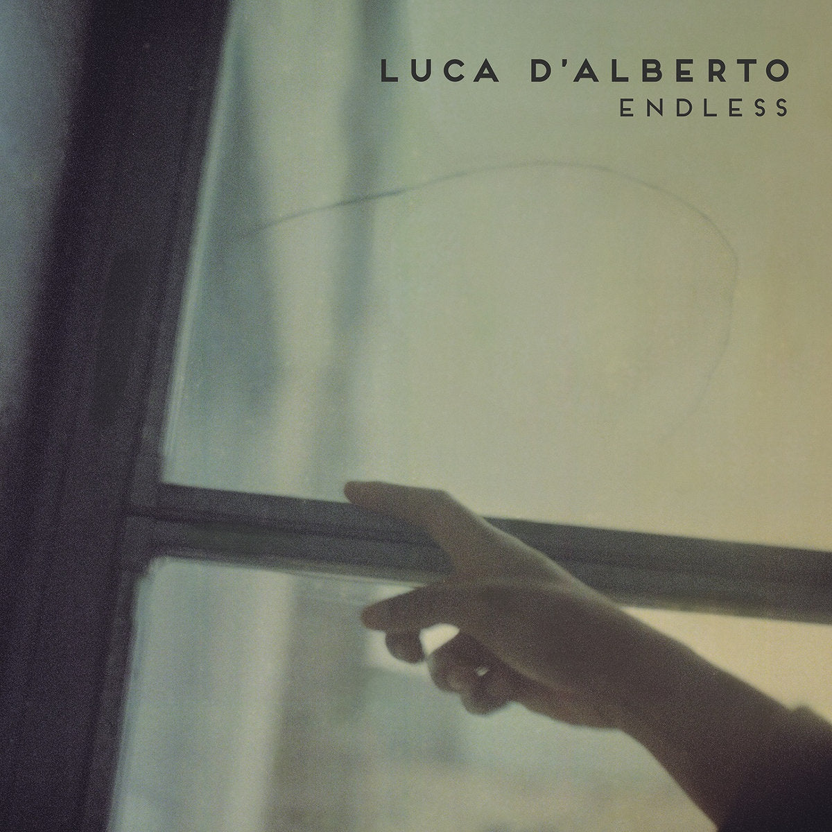LUCA D'ALBERTO - Endless (Vinyle)