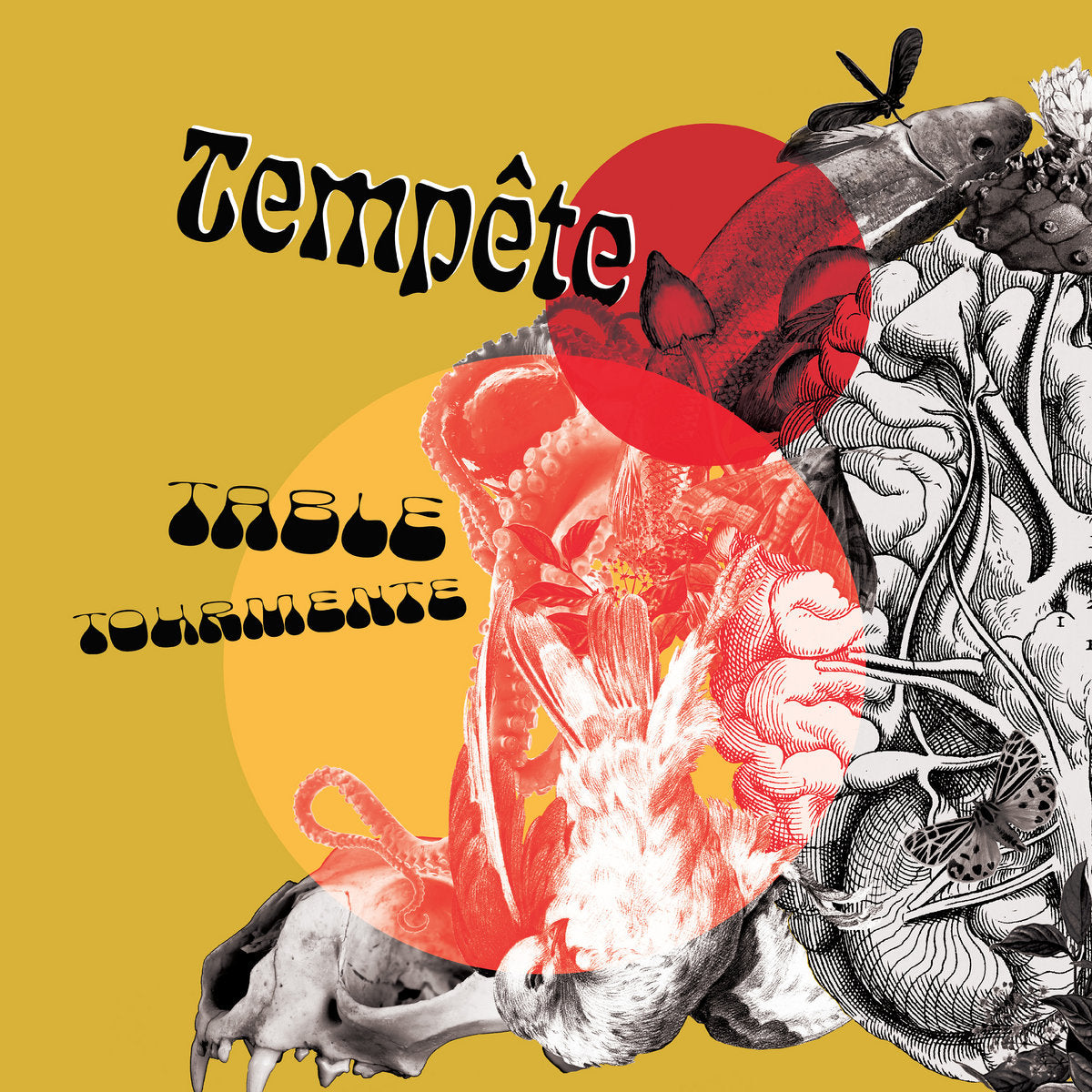 TEMPÊTE - Table Tourmente (Vinyle)