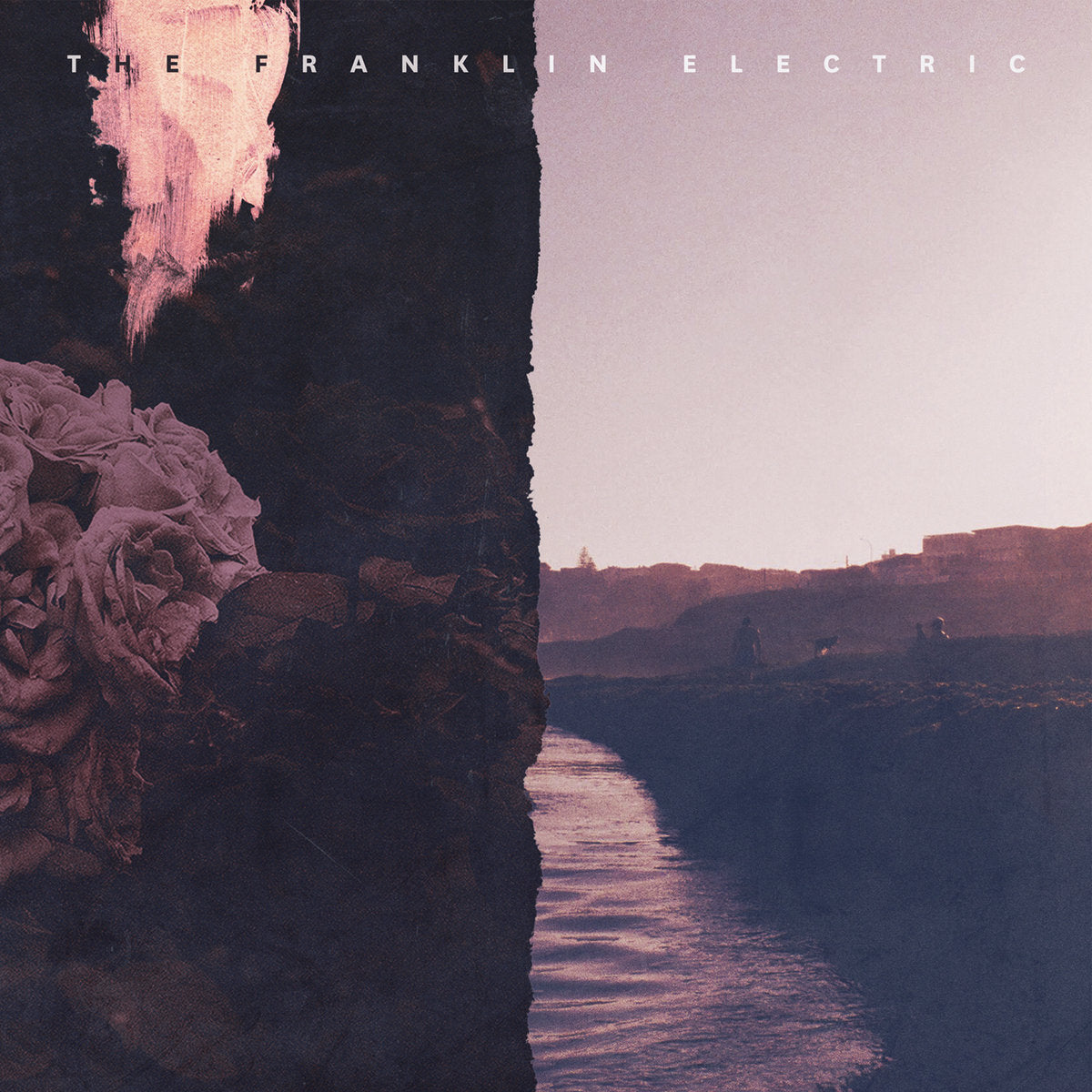 THE FRANKLIN ELECTRIC - In Your Head / In Your Heart (Vinyle)