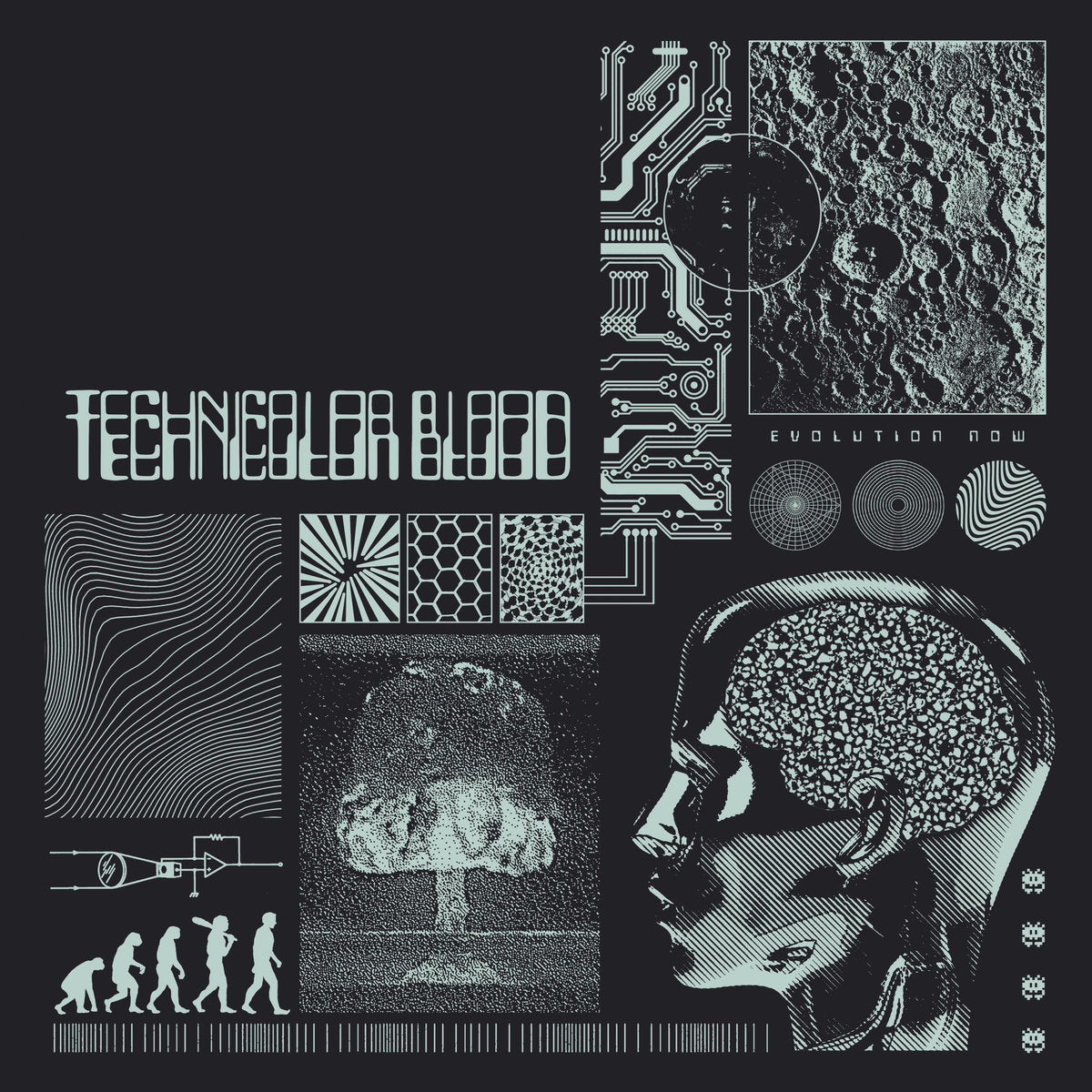 TECHNICOLOR BLOOD - Evolution Now (Vinyle)