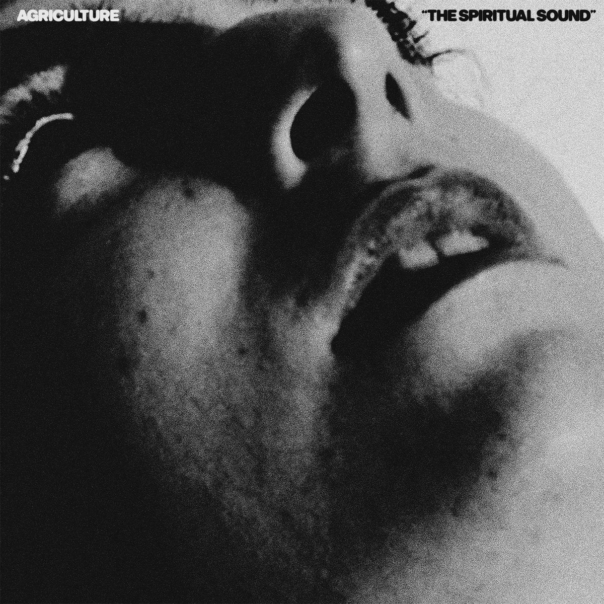 AGRICULTURE - The Spiritual Sound (Vinyle) - The Flenser