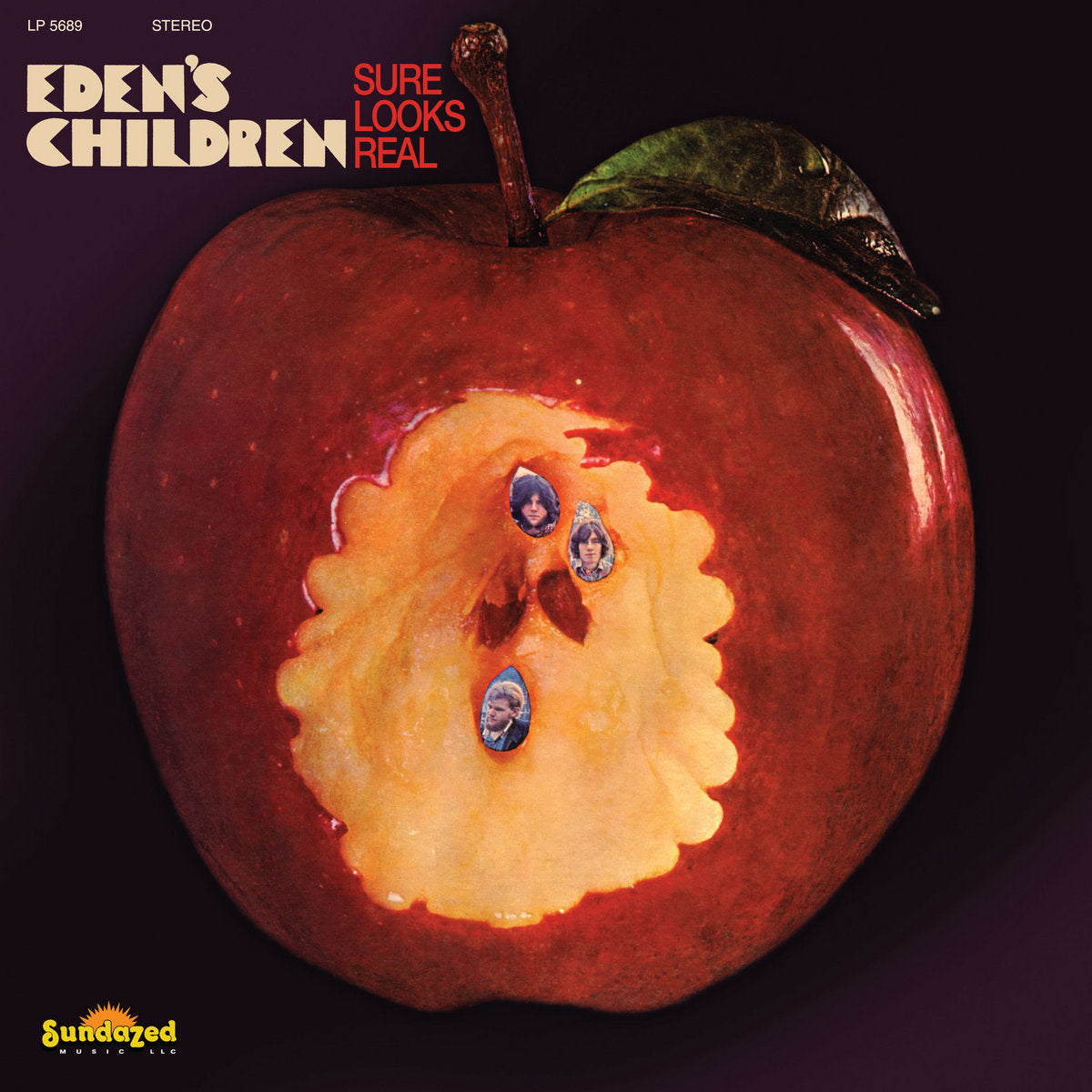 EDEN'S CHILDREN - Sure Looks Real (Vinyle) PRÉCOMMANDE