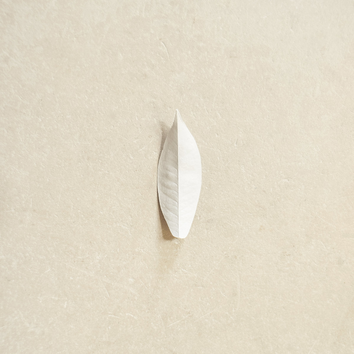 SYLVAIN CHAUVEAU - The Complexity Of The Simple (Vinyle) PRÉCOMMANDE (24 juillet)