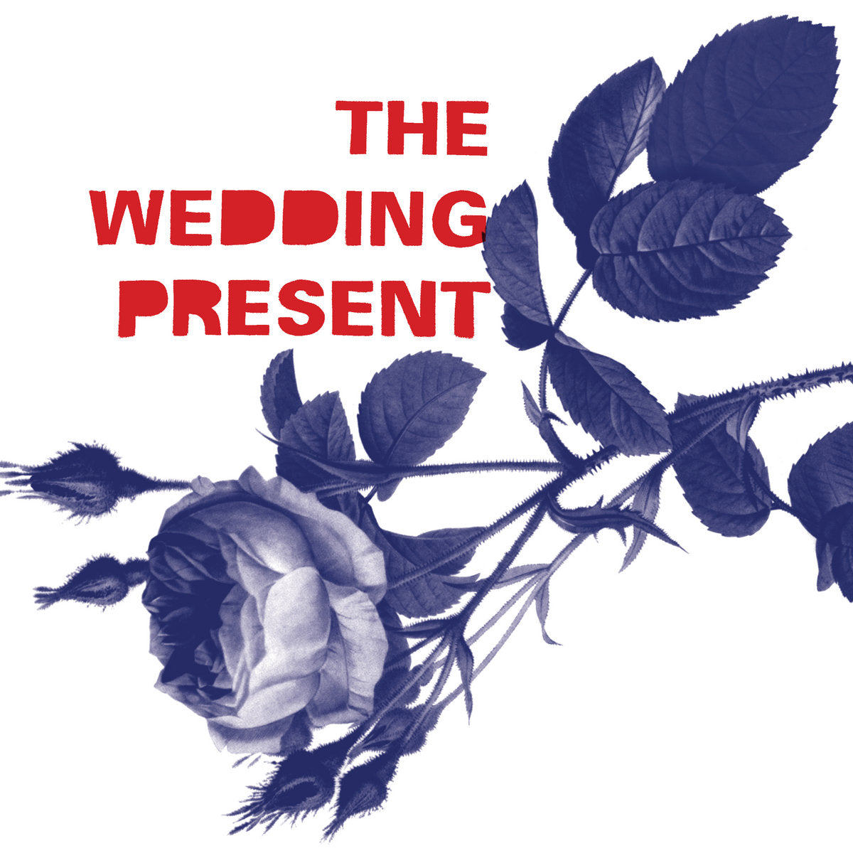 THE WEDDING PRESENT - Tommy 30 (Vinyle)