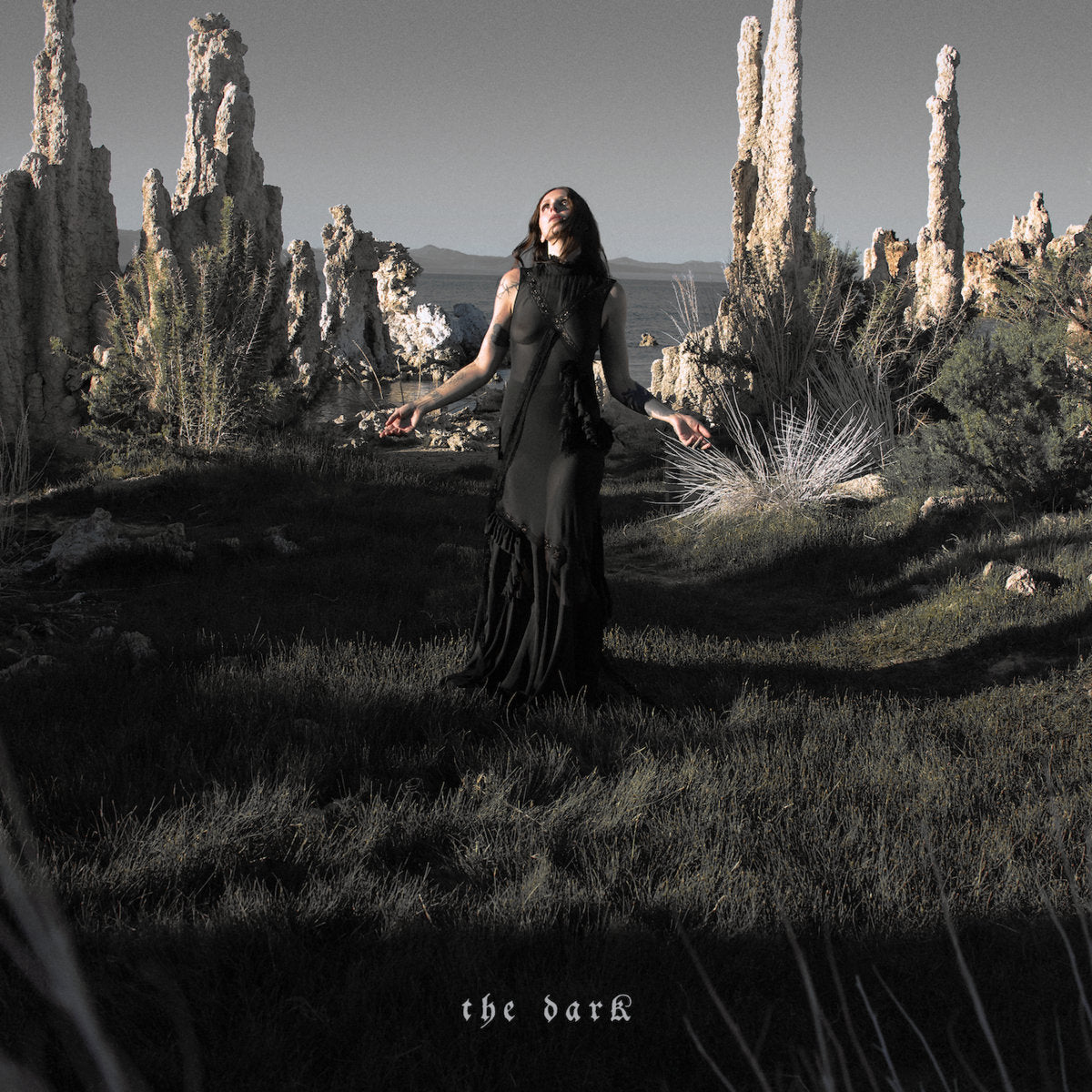 CHELSEA WOLFE - The Dark (Vinyle)