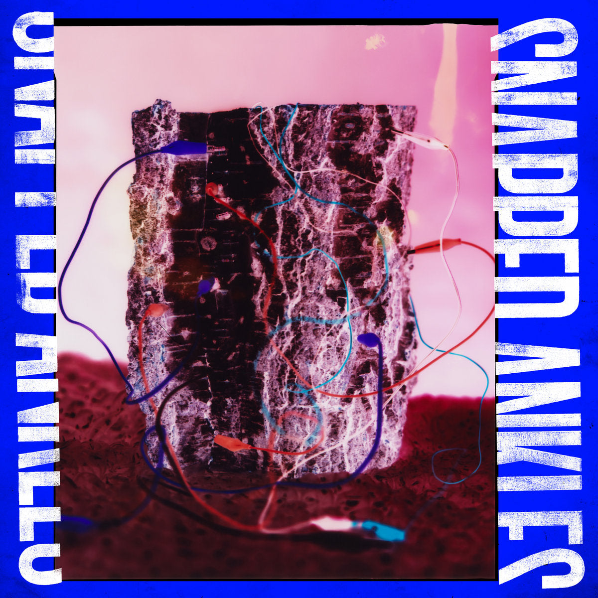 SNAPPED ANKLES - Forest Of Your Problems (Vinyle)