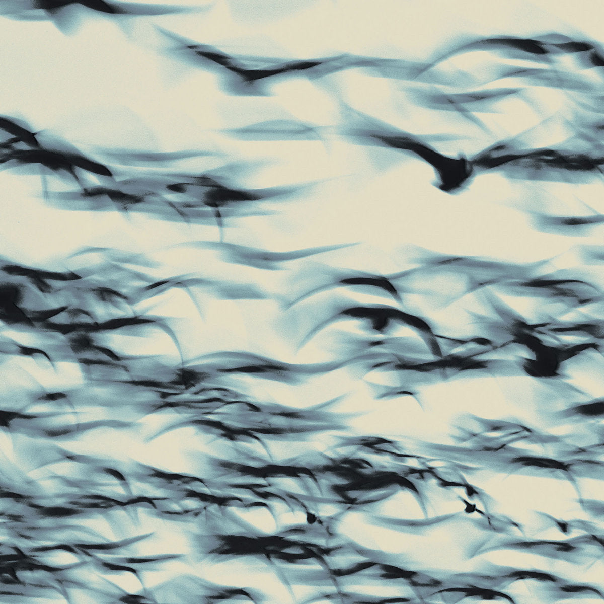 BELLBIRD - The Call (Vinyle)