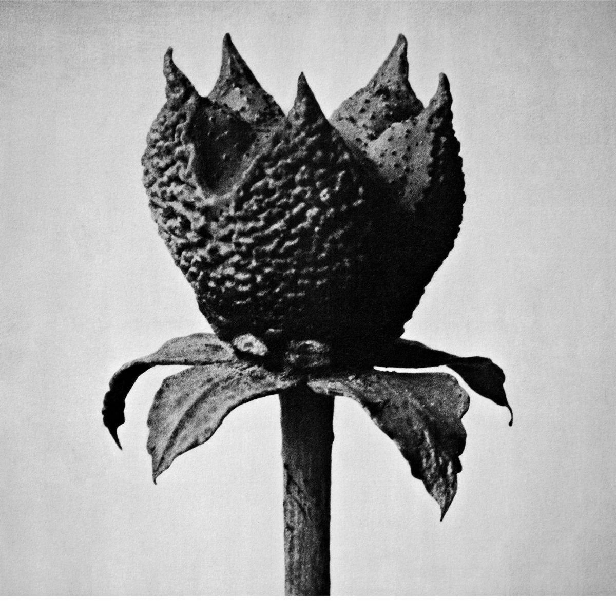 MASAYOSHI FUJITA - Book Of Life (Vinyle)