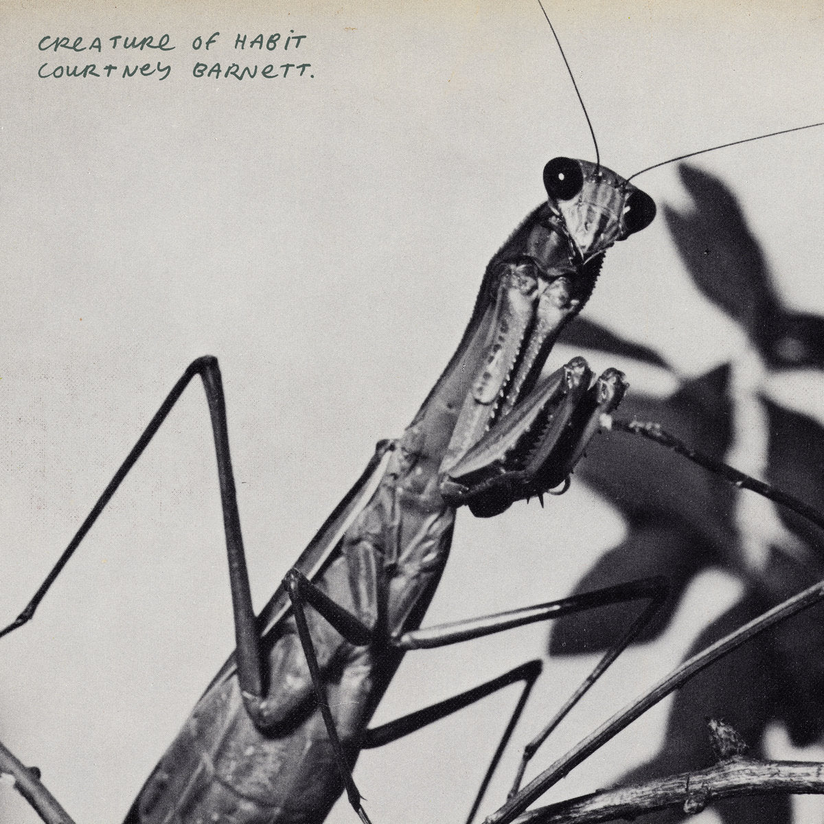 COURTNEY BARNETT - Creature of Habit (Vinyle)