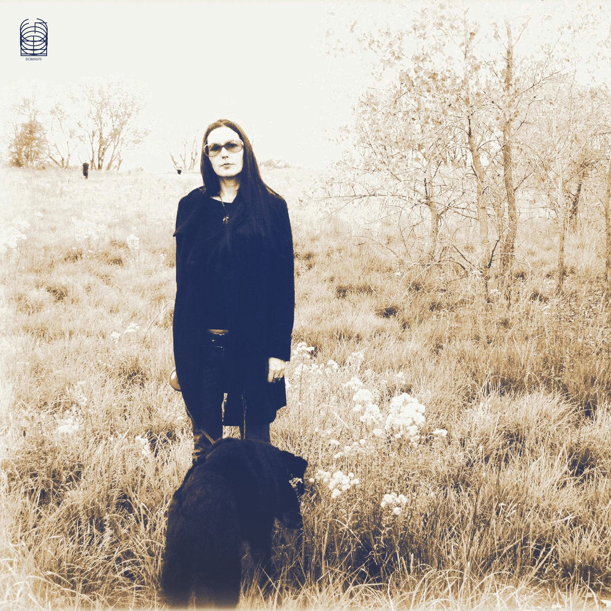 JESSE SYKES & THE SWEET HEREAFTER - Forever, I've Been Being Born BF2025 (Vinyle)