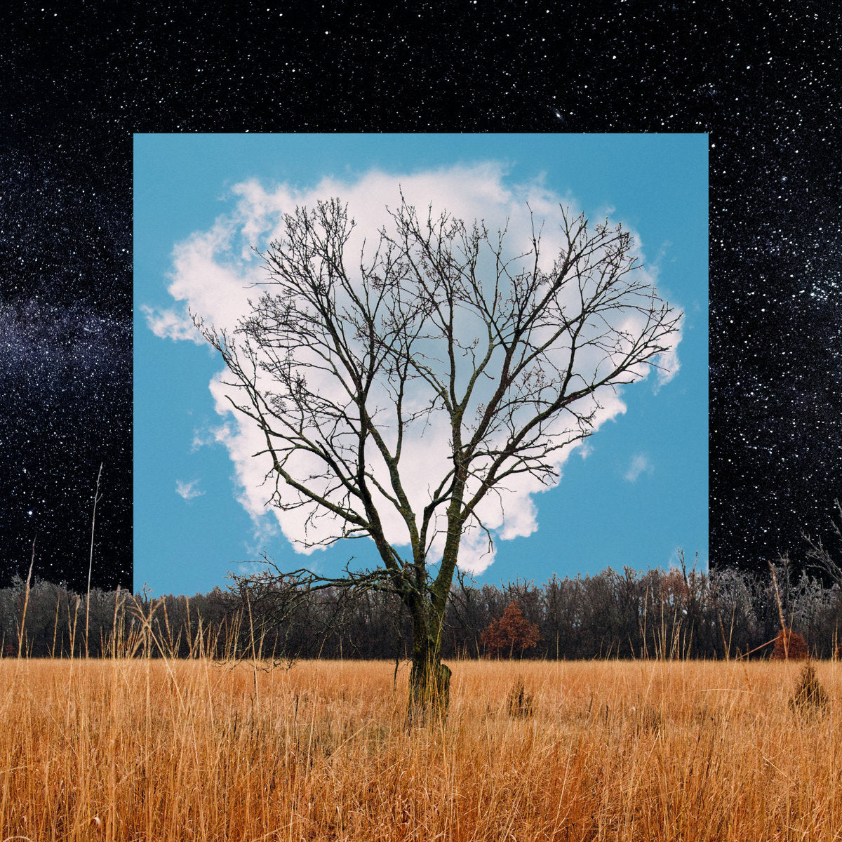 FINK - Bloom Innocent (Vinyle)