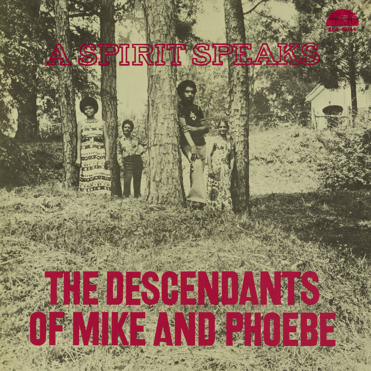 THE DESCENDANTS OF MIKE AND PHOEBE - A Spirit Speaks (Vinyle)