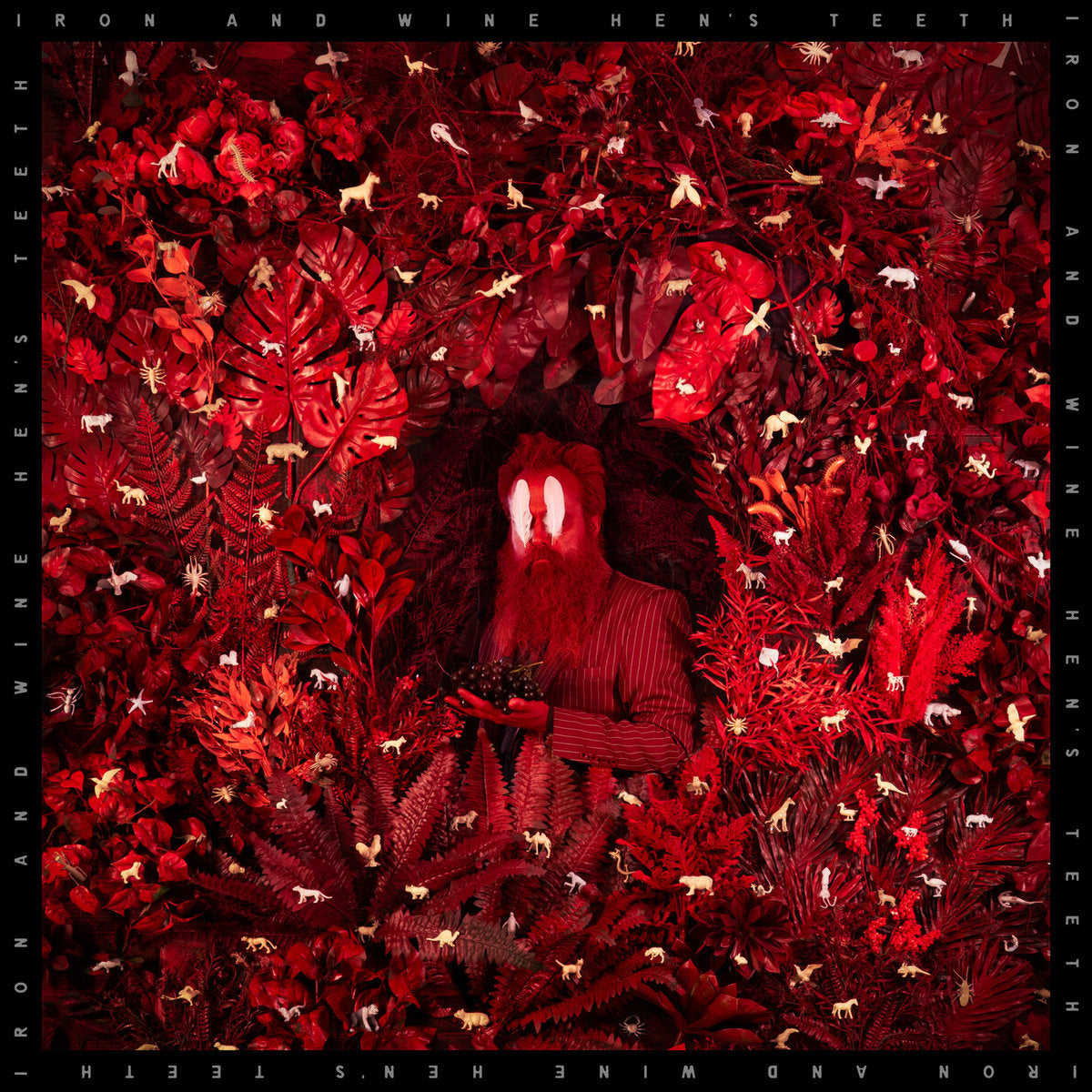 IRON & WINE - Hen's Teeth (Vinyle)