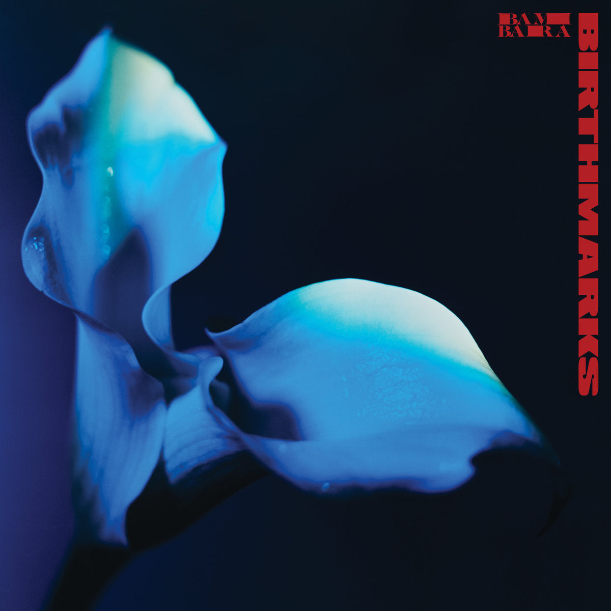 BAMBARA - Birthmarks (Vinyle)