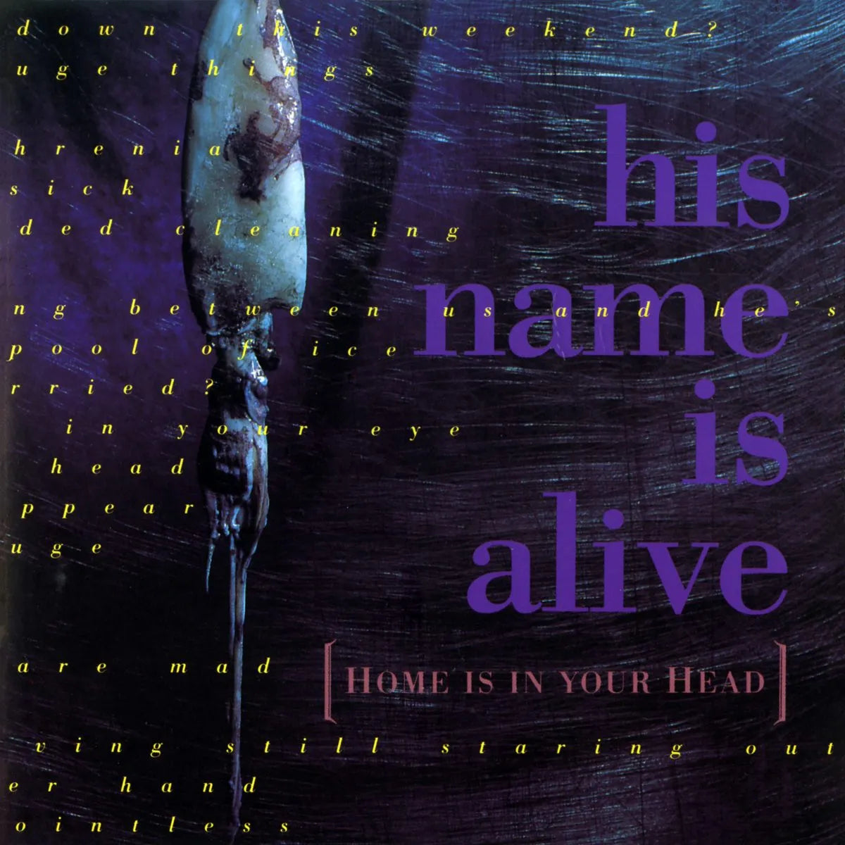 HIS NAME IS ALIVE - Home Is In Your Head (Vinyle)