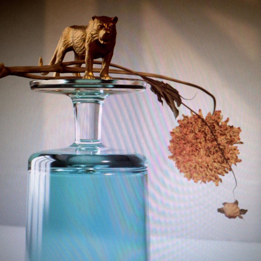 BEIRUT - Gallipoli (Vinyle) - 4AD
