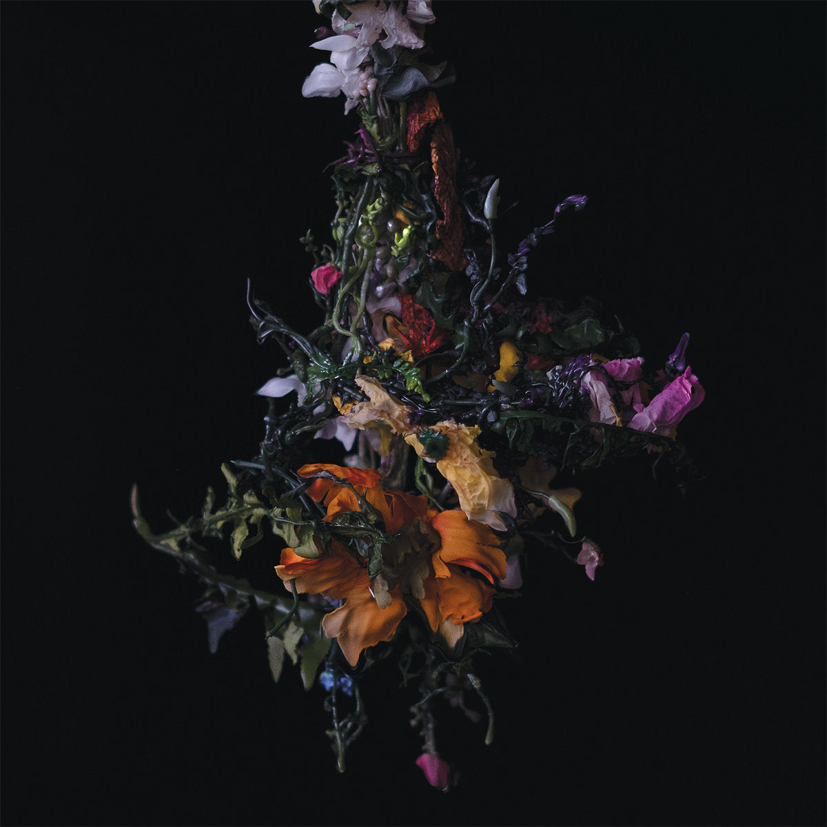 BIG│BRAVE - Nature Morte (Vinyle)