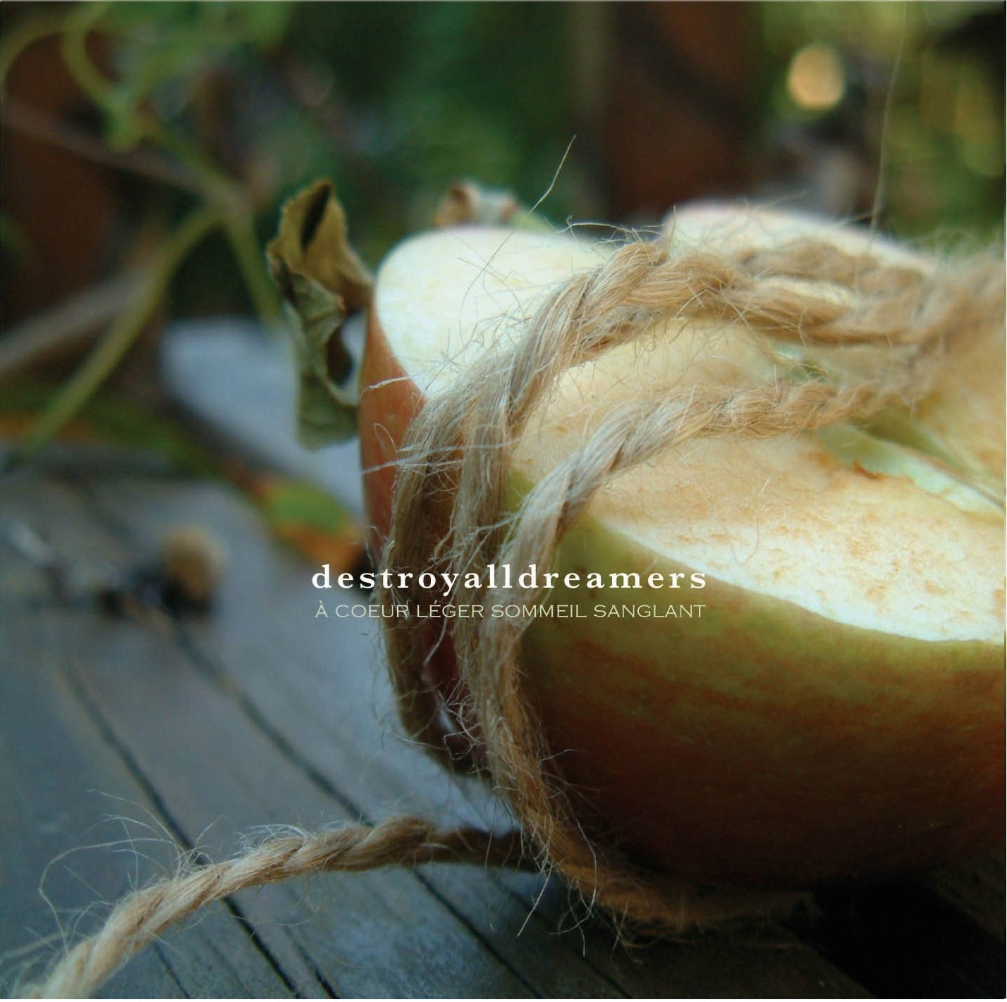 DESTROYALLDREAMERS - À Coeur Léger Sommeil Sanglant (CD) - Where Are My Records