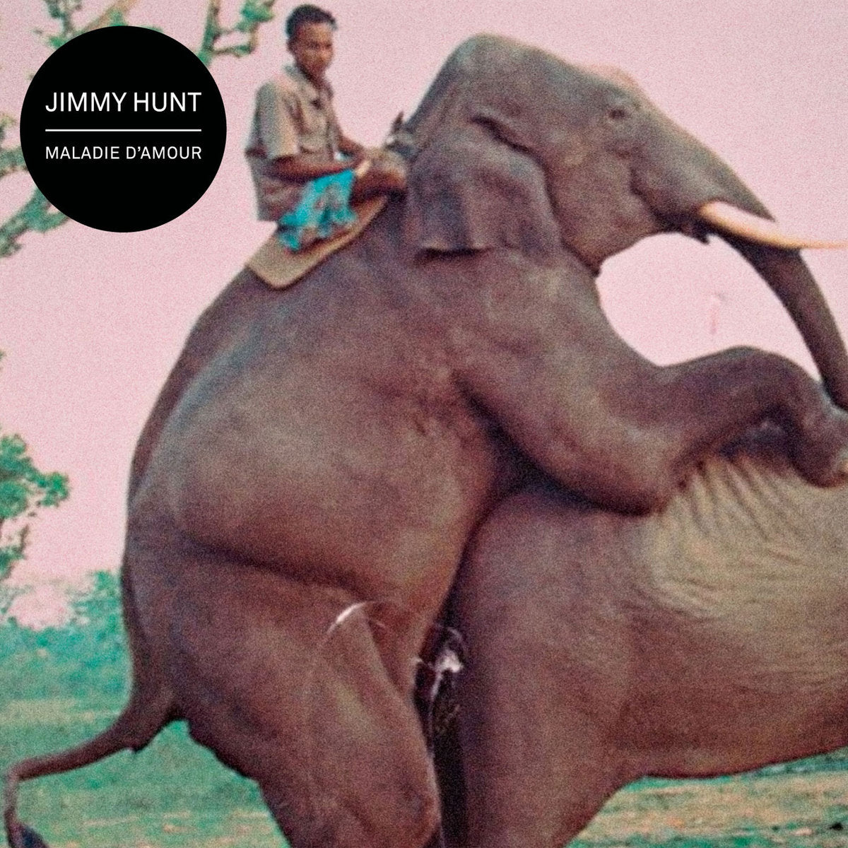 JIMMY HUNT - Maladie d'amour (Vinyle) - Grosse Boîte