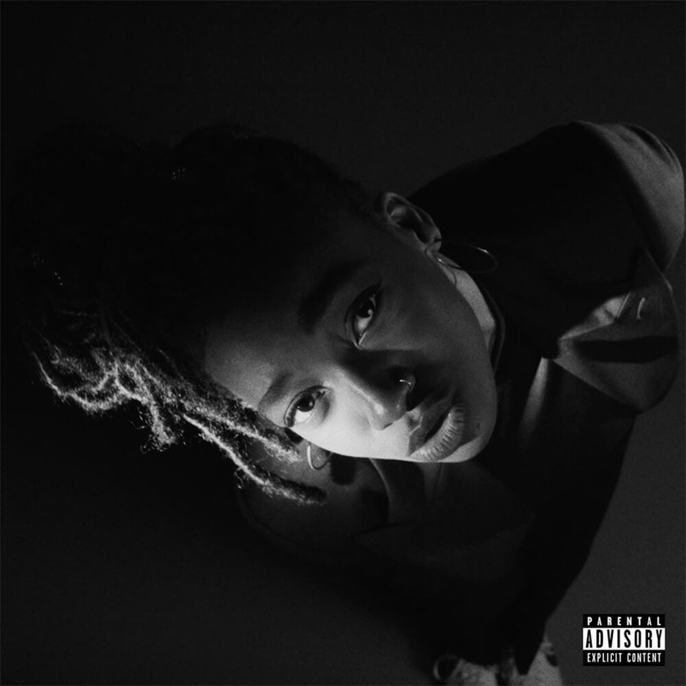 LITTLE SIMZ - Grey Area (Vinyle)
