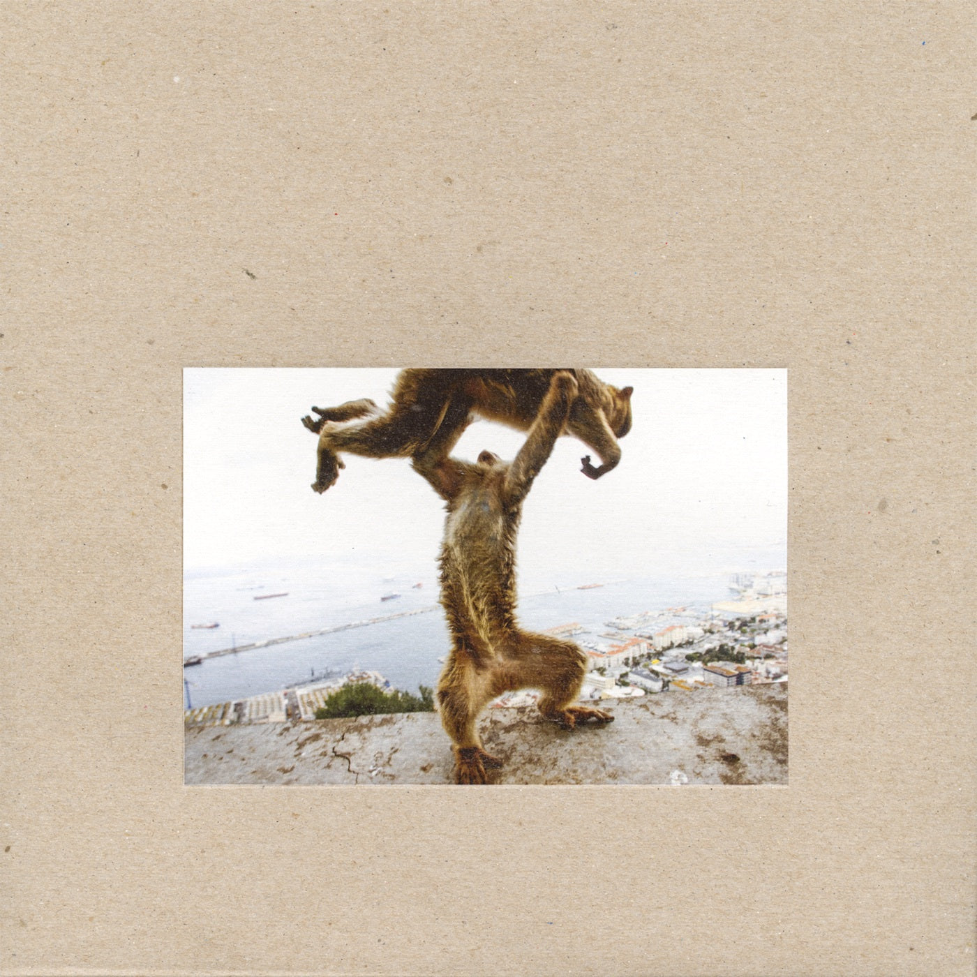 SHELLAC -Dude Incredible (Vinyle)
