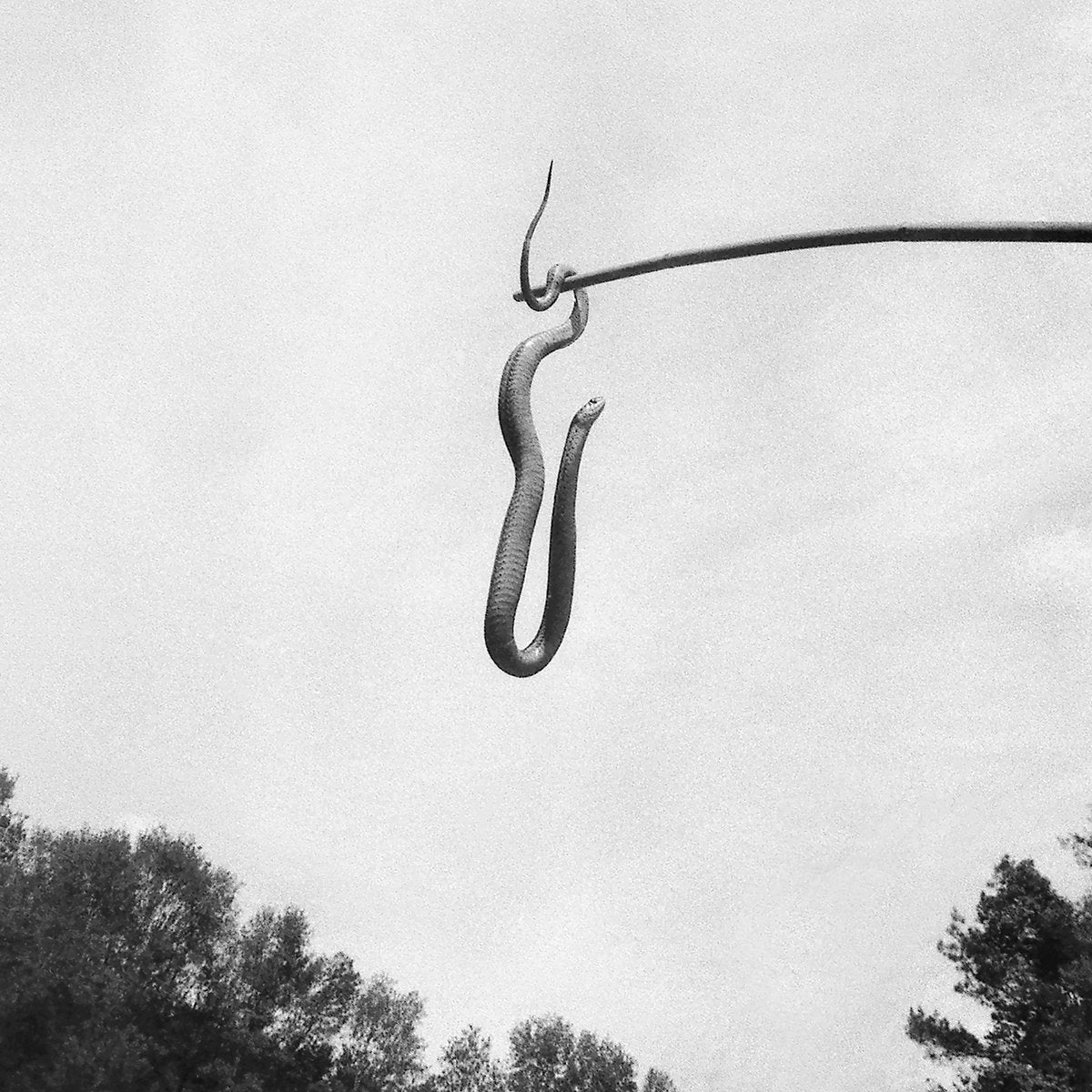 TDA - Ascète (Vinyle)