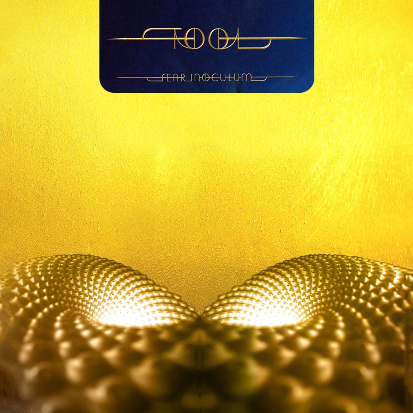 TOOL - Fear Inoculum (Vinyle)