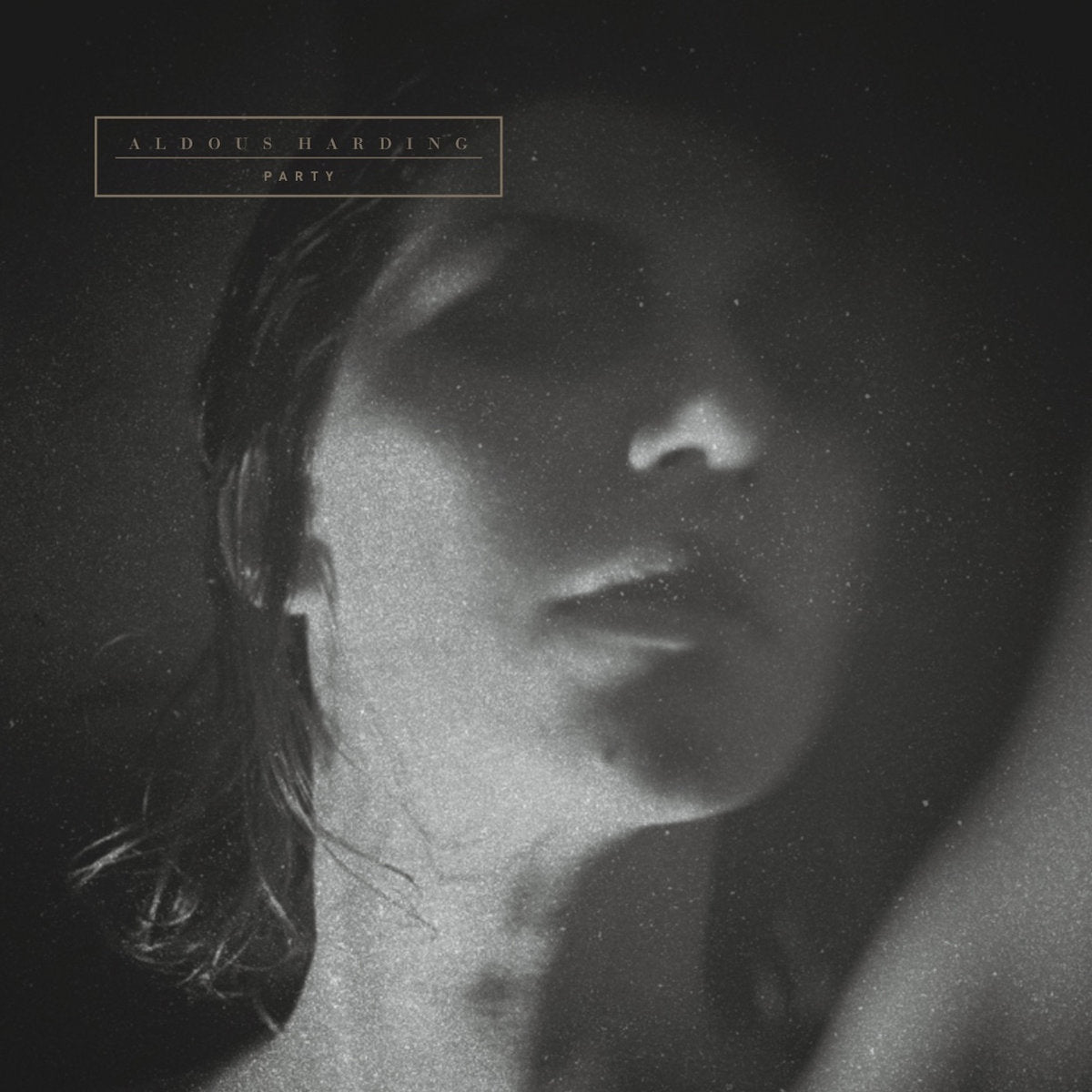 ALDOUS HARDING - Party (Vinyle)