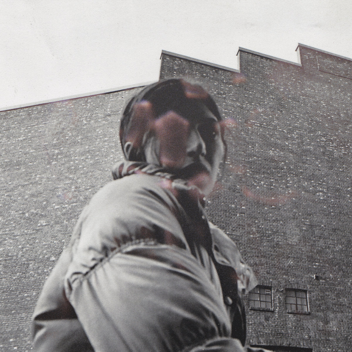 ALDOUS HARDING - Warm Chris (Vinyle)