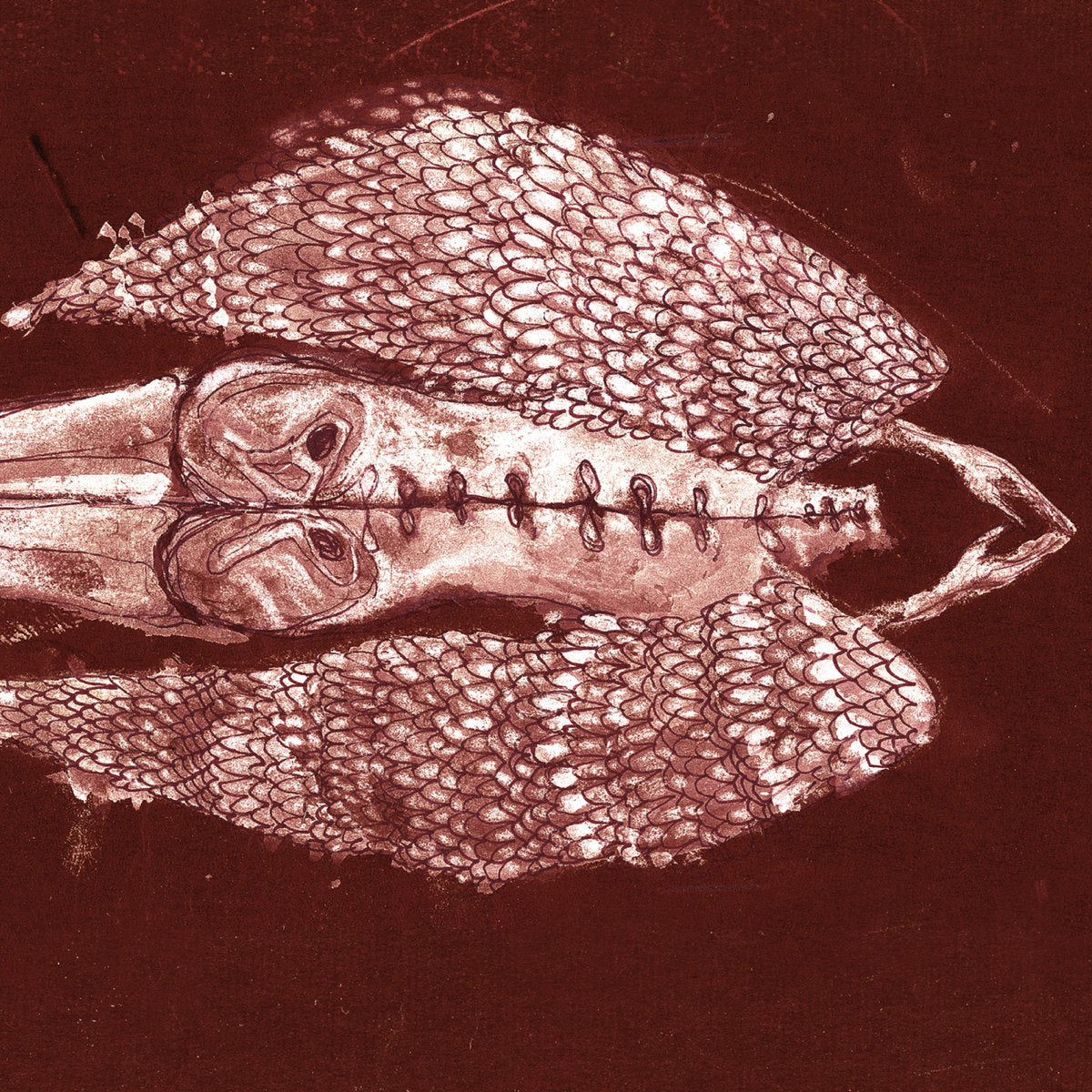CERBERUS SHOAL - Homb (Vinyle)