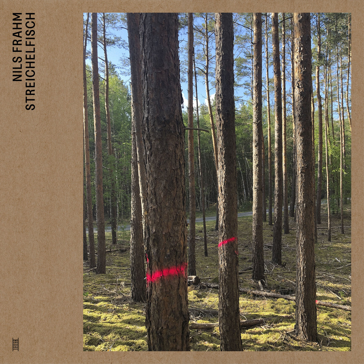 NILS FRAHM - Streichelfisch (Vinyle)