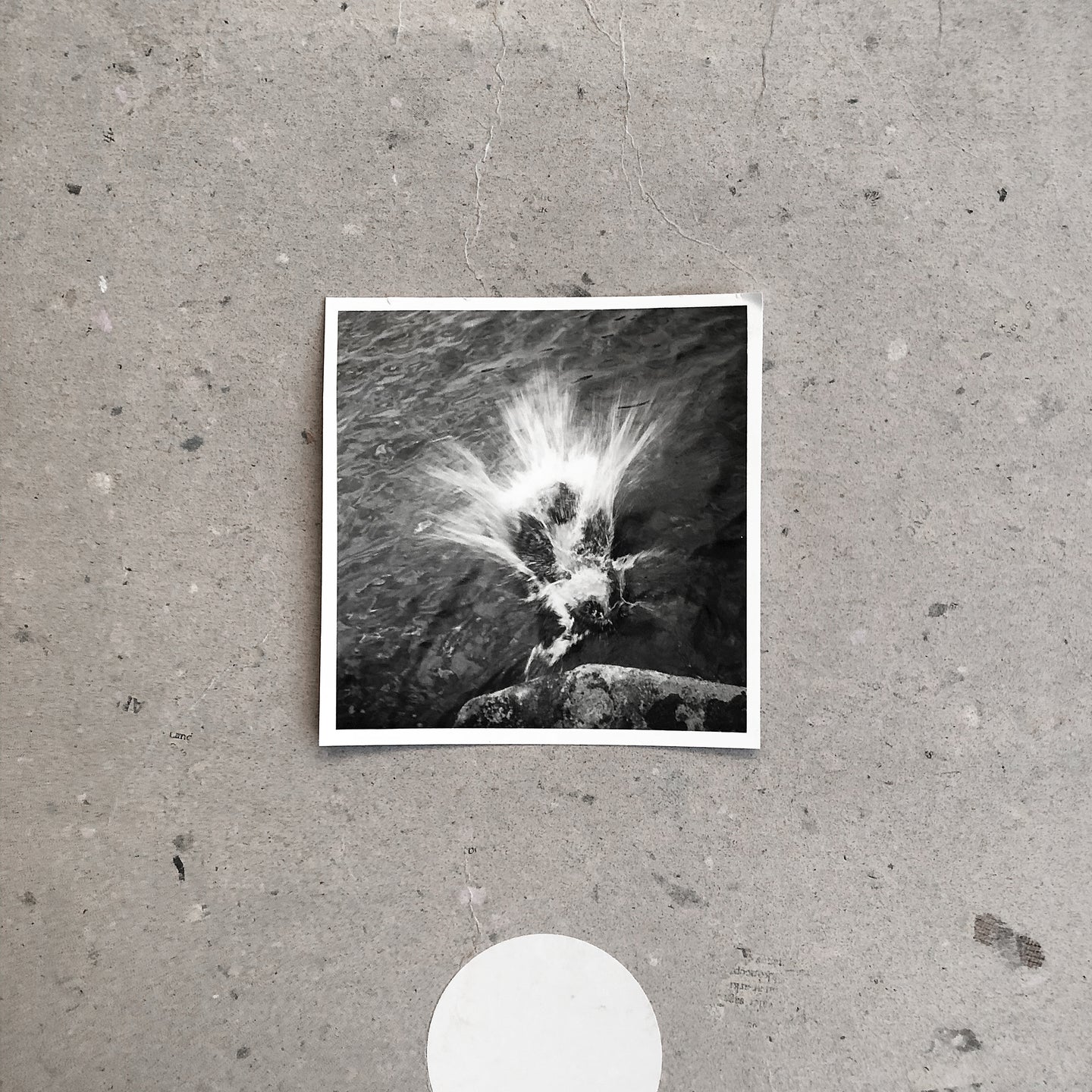 NILS FRAHM - Empty (Vinyle)