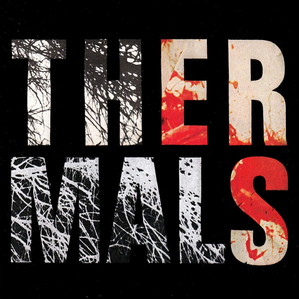 THE THERMALS - Desperate Ground (Vinyle)