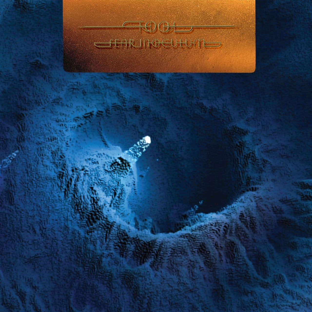 TOOL - Fear Inoculum (Boxset) (Vinyle)