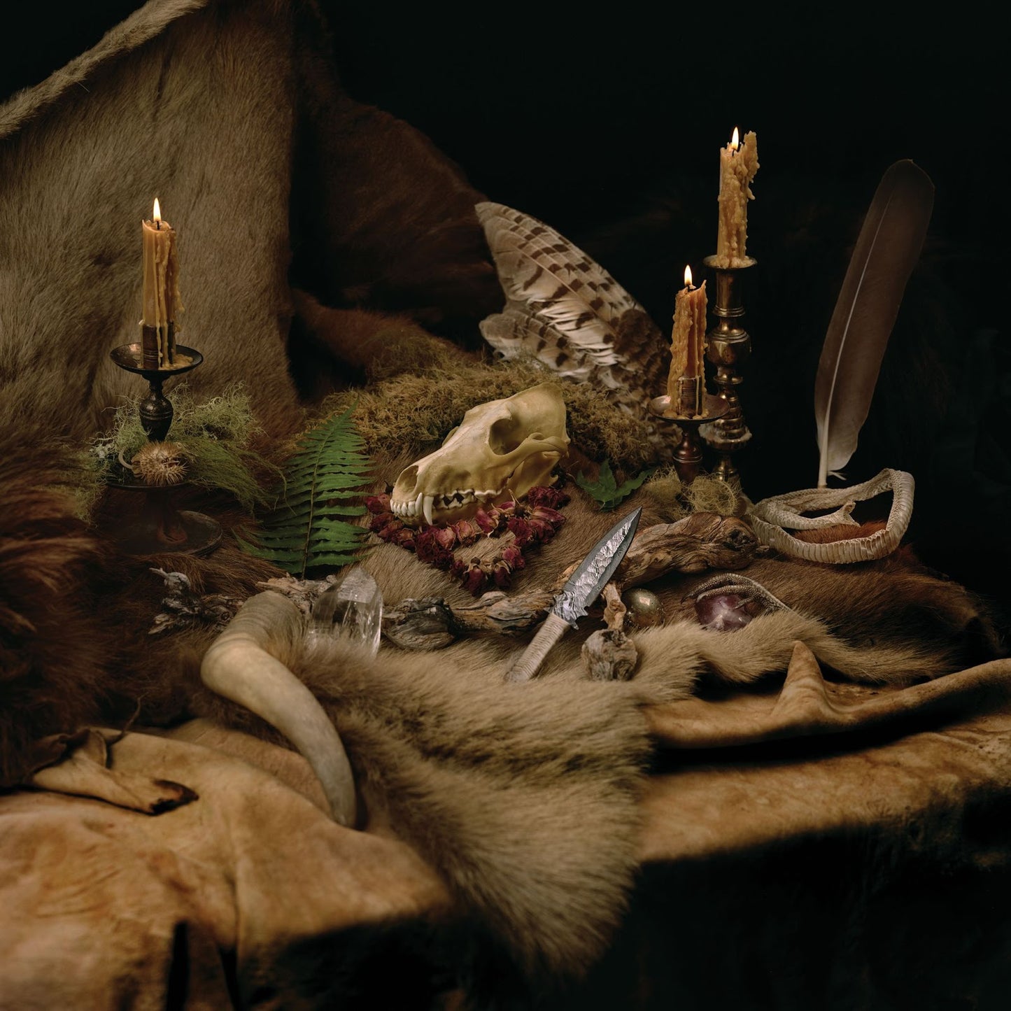 WOLVES IN THE THRONE ROOM - Primordial Arcana (Vinyle)