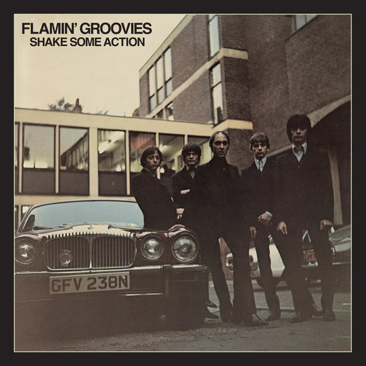 FLAMIN' GROOVIES - Shake Some Action (Vinyle)