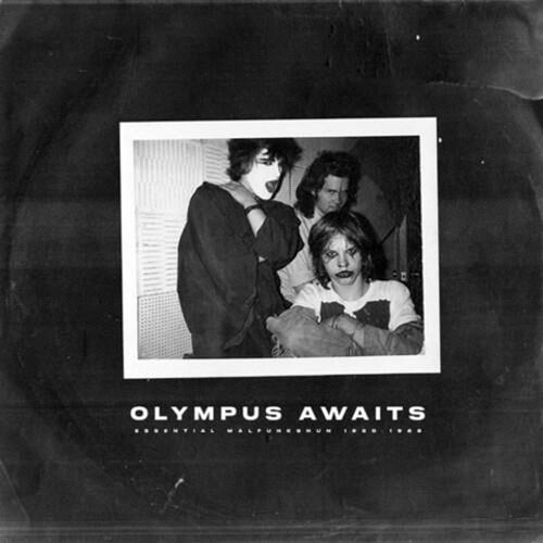 MALFUNKSHUN - Olympus Awaits RSD2024 (Vinyle)
