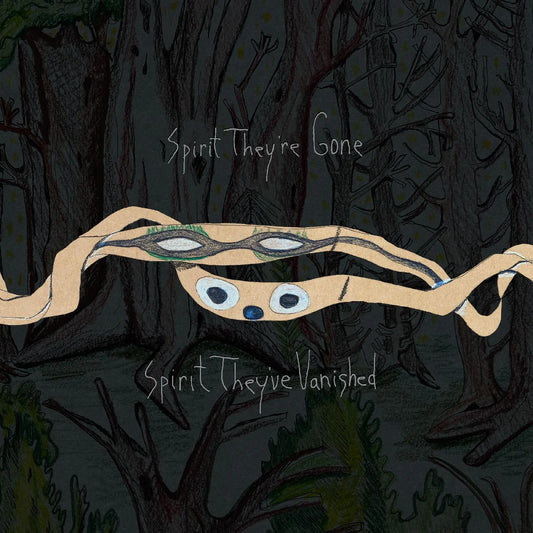 ANIMAL COLLECTIVE - Spirit They're Gone, Spirit They've Vanished (Vinyle)