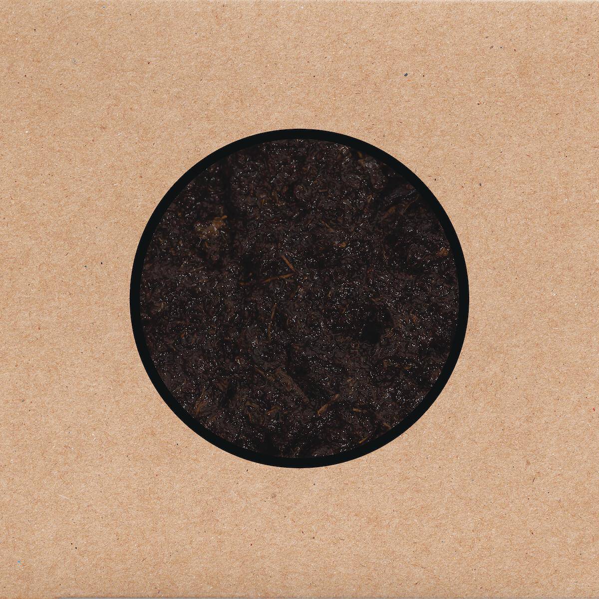 SWANS - Birthing (Vinyle)