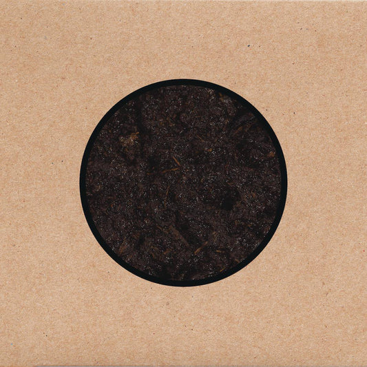 SWANS - Birthing (Vinyle)